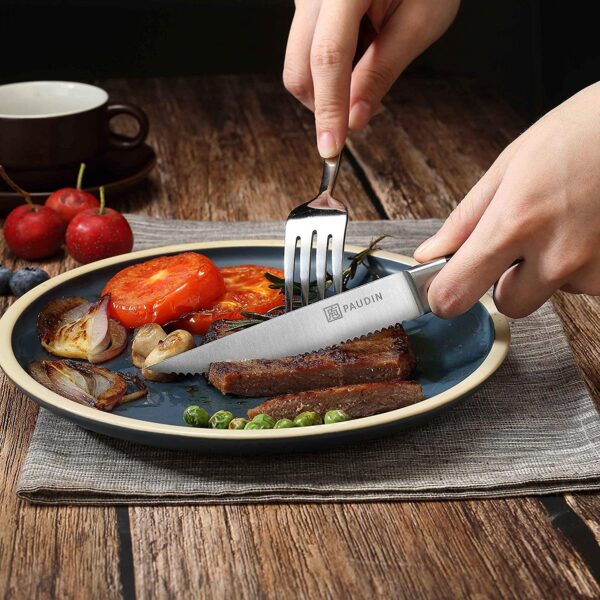 Paudin Steak Knife Set